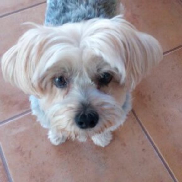 gwendoline_a